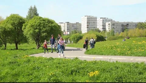 Front view on the path turn in the park Vídeo Stock 5371905