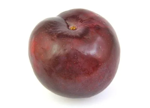 Front view of plum on white background. Stock Photos