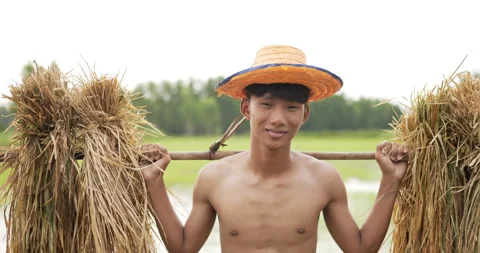 Front view portrait Asian young farmer male without shirt wearing hat  Stock Footage 202057410