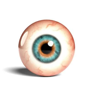 Front view of realistic human eyeball isolated on wihte background, 3D rendering Stock Illustration