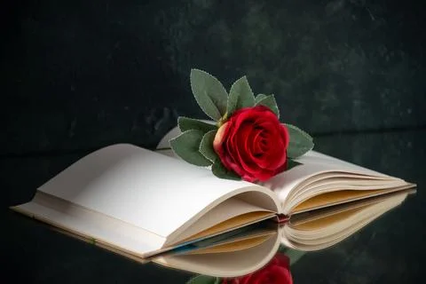 Front view of red flower with open book on black background funeral evil wa.. Stock Photos