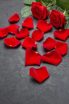 Front view red rose petals for valentines day on a dark background color fe.. 写真素材