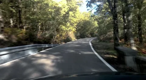 Front view of the road during a drive in the forest Stock Footage 139967056
