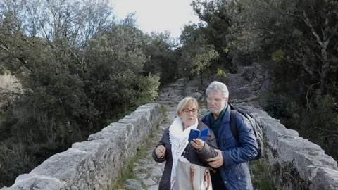 Front view of an senior couple looking at the phone Stock Footage 101778573