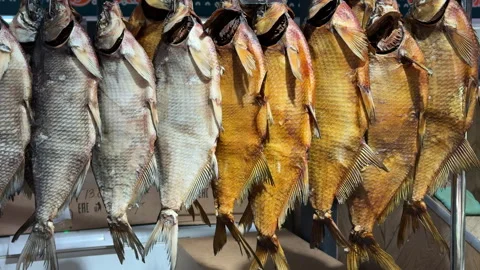 Front view of several dried fish hanging at a market stall. The image captures t Stock Footage 310818524