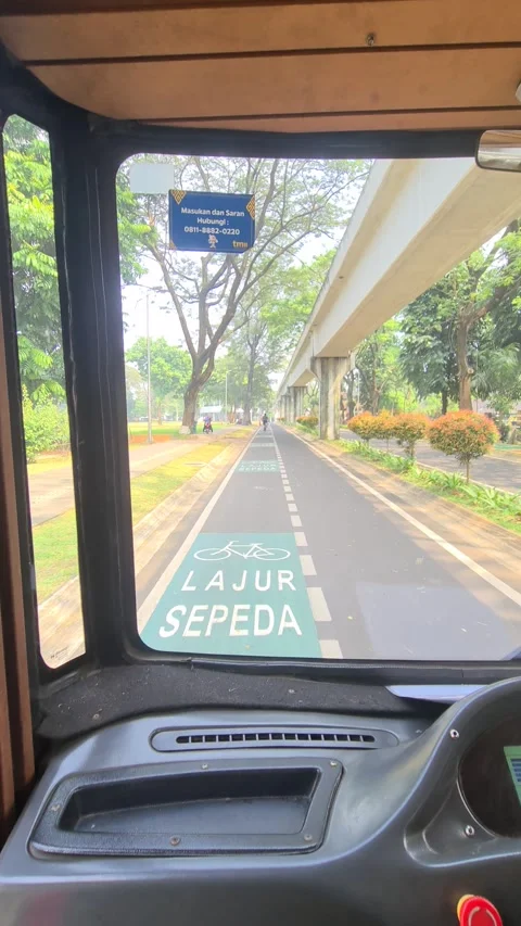 Front view from a sightseeing ride Video stock 314584430