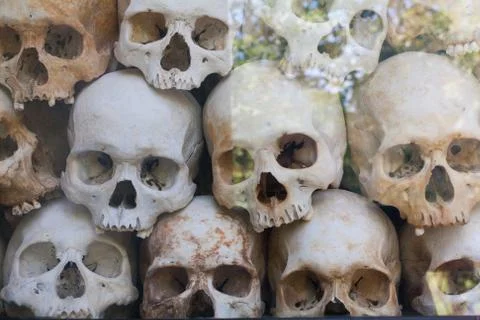 Front View of Skulls Wall behind glass in memorial camp in Cambodia Stock Photos