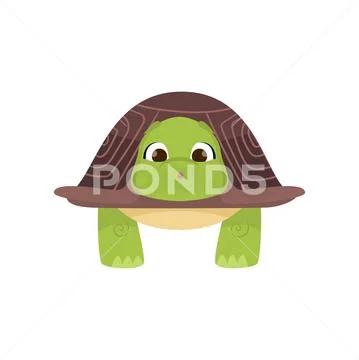 Front view of standing cute green turtle isolated on white background Stock Illustration