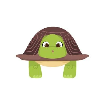 Front view of standing cute green turtle isolated on white background Illustrazione stock