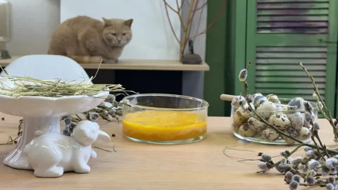 Front view of the table with ingredients for the wreath, the process of creating Stock Footage 304947263