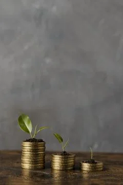 Front view three stacks coins with plants copy space Foto stock