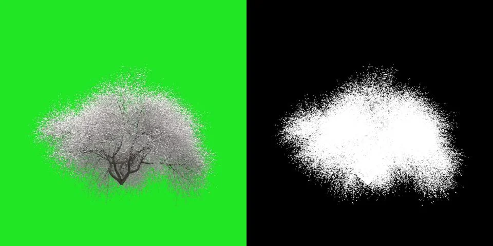 Front view of tree png with alpha channel to cutout made with 3D render Stock Illustration