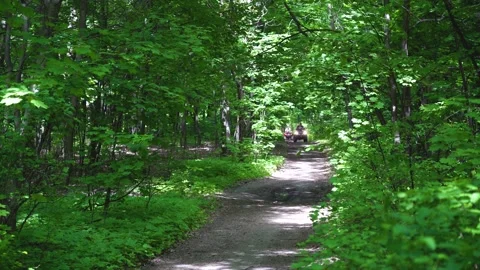 Front view. Two ATVs ride along a long forest road. Stock Footage 139884542