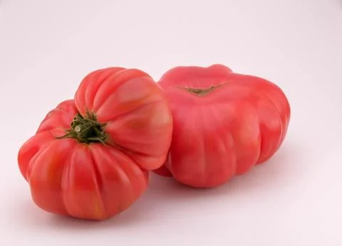 Front view on the two big fresh ripe tomatoes. Stock Photos