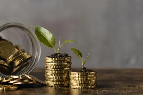 Front view two stacks coins with jar plants Resolution and high quality 스톡 사진