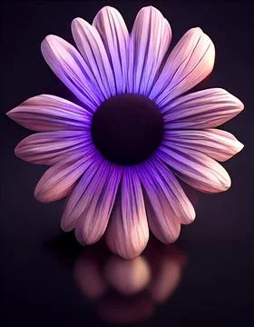 Front view of a violet, African Daisy, on dark background. Close-up. Stock Illustration