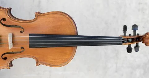 Front view violin Stock Photos
