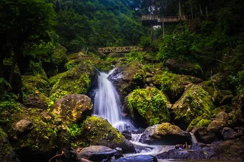 Front view of waterfall in the forest Foto stock
