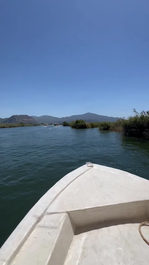 Front view of a white boat traveling in a river between reeds Stock Footage 337137931