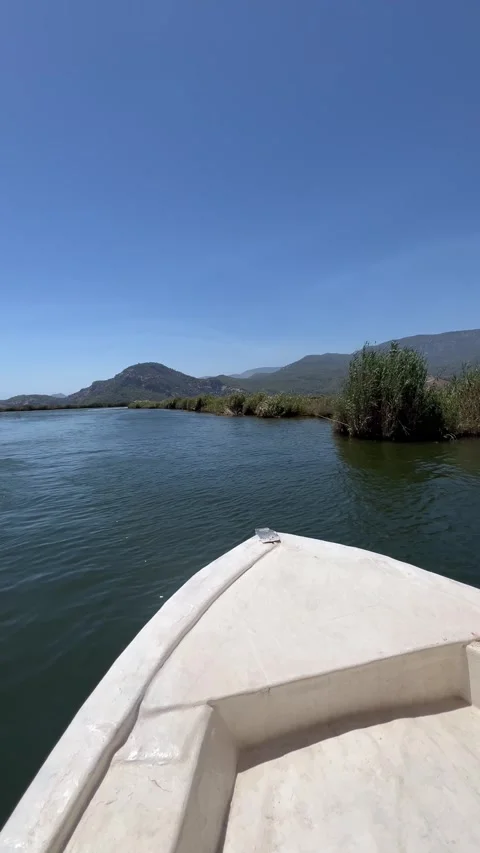 Front view of a white boat traveling in a river between reeds Stock Footage 337138765
