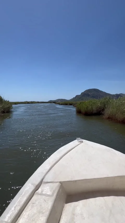 Front view of a white boat traveling in a river between reeds Stock Footage 337138886