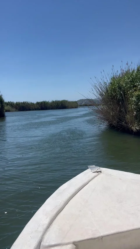 Front view of a white boat traveling in a river between reeds Stock Footage 337138908