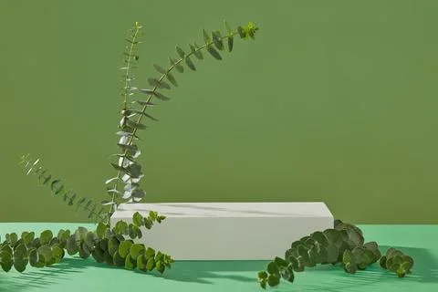 Front view of a white rectangle podium with green leaves. Stylish geometric s Stock Photos