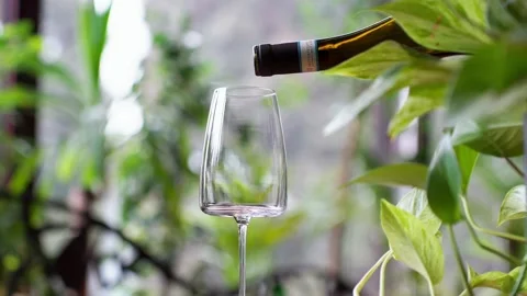 Front view of white wine pouring into glass surrounded by lush green plants Stock Footage 329175573