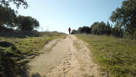 Front view of a young man playing ball with his labrador retriever and traini Stock Footage 122386535