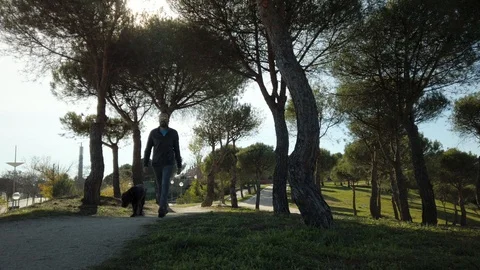 Front view of young man walking his dog across the park on a sunny day Stock Footage 122386653