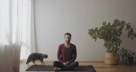 Front view of young yogi master practicing yoga indoors with cat walking on Stock Footage 140737564