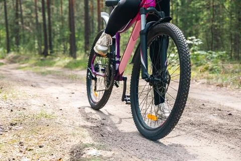 Front wheel of a bicycle, highlighting the disc brake system. Disc brakes o.. Stock Photos