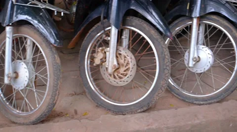 Front Wheels of Many Motorcycles Parked on a Sidewalk in Asia Stock Footage 63343789