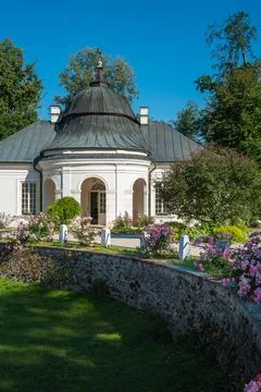 Front yard with blooming rose Stock-Fotos
