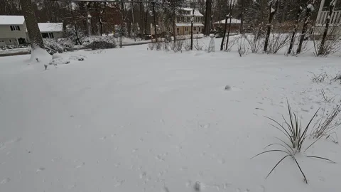 Front yard covered with snow in January Stock Footage 321431134