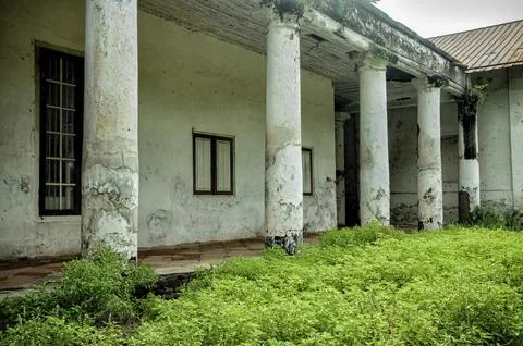 The front yard of an empty house that has been left in a state of disrepair.. Stock-Fotos