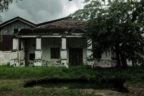 The front yard of an empty house that has been left in a state of disrepair.. Foto stock