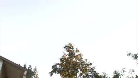 Front Yard Halloween Cemetery Camera Tilt Down Stock Footage 91567394