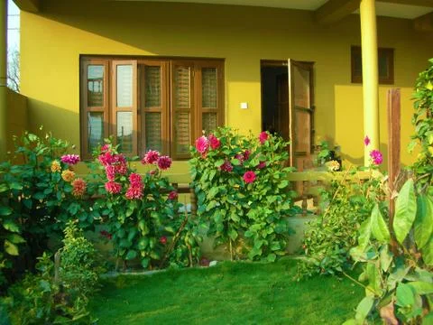 The front yard of a house Stock Photos