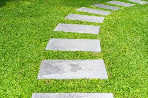 Front yard rock walkway between grasses Foto stock