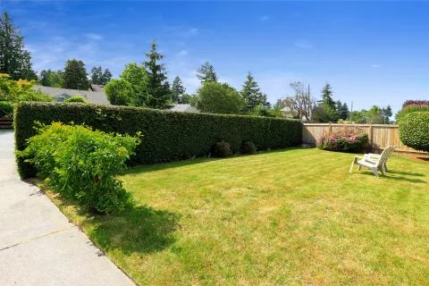 Front yard with sitting area and trimmed hedges Stock Photos