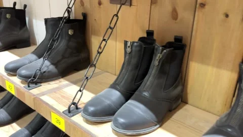 Front-Zip Paddock Boots on Wooden Display Shelf Vídeo Stock 343929837