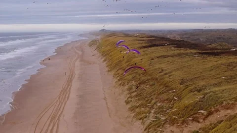 Frontal aerial view of paragliders soaring along dunes with seagulls in flight Stock Footage 296804736
