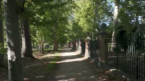 Frontal flight with drone in an exterior corridor of the Jardín del Príncipe de Stock Footage 296220828