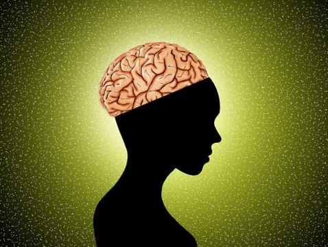 Frontal lobe Stock Illustration