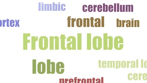 Frontal Lobe Tag Cloud Animated Isolated On White 스톡 동영상 103654159