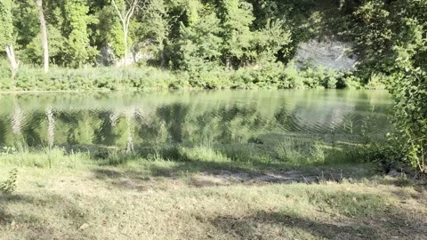 Frontal shot of a calm and clear river Stock Footage 343628146