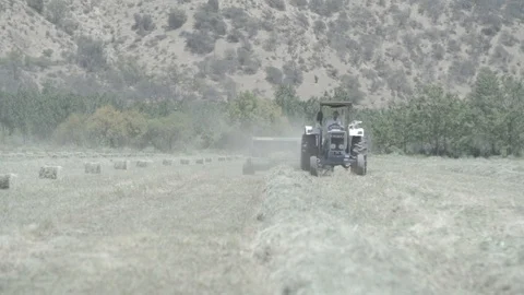 FRONTAL SHOT OF TRACTOR MAKING HAY IN GREEN FIELD FULL OF HAY SLOW MOTION Stock Footage 100775853