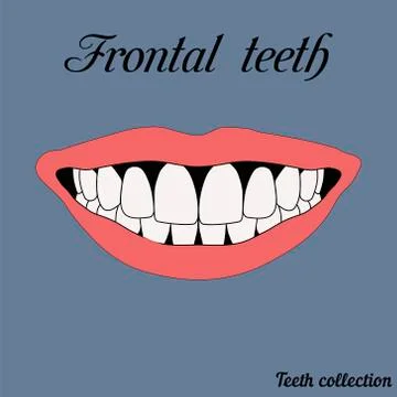 Frontal teeth Stock Illustration