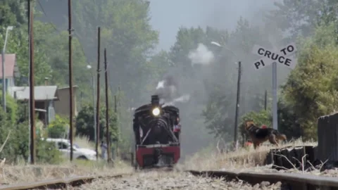 Frontal train towards camera Stock Footage 133007584